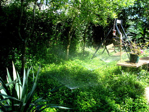 Yard Sprinkler System Installation New Braunfels