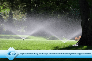 Top-Sprinkler-Irrigation-Tips